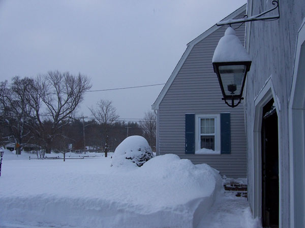 winter4.jpg