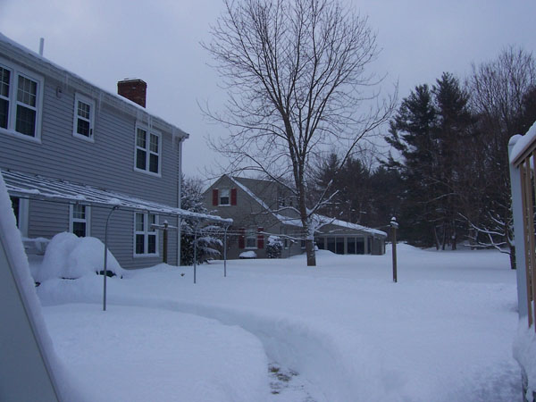 winter7.jpg