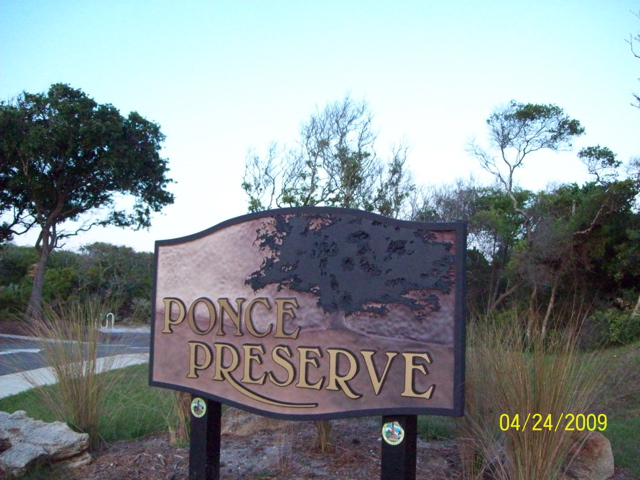 100_1036.JPG