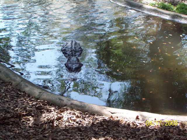100_0693.JPG