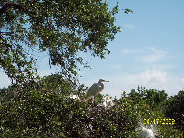 100_0704.JPG