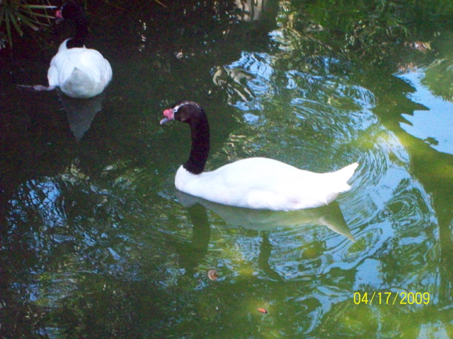 100_0720.JPG