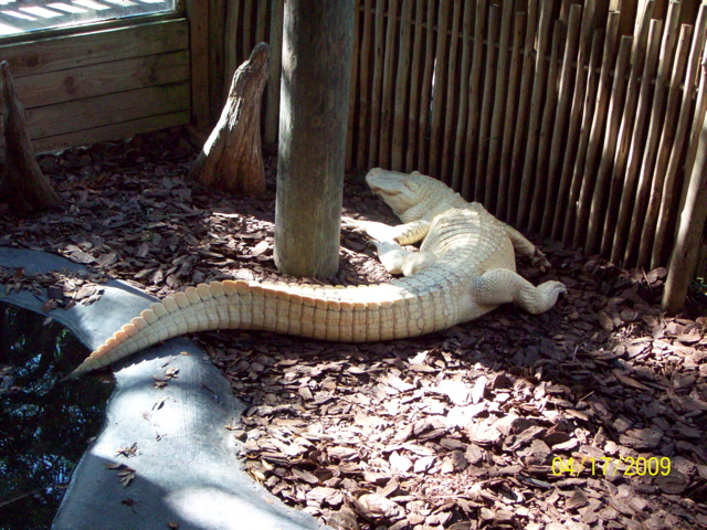 100_0722.JPG