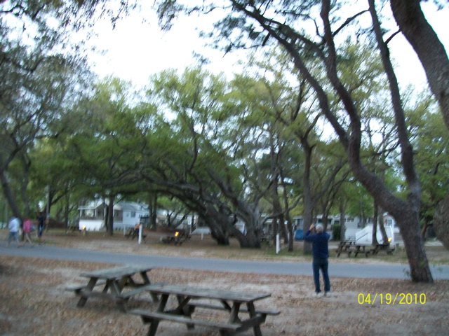 100_0869.JPG