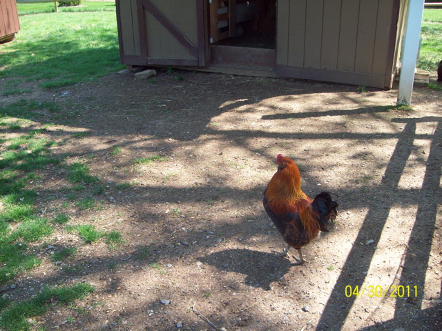 100_3429.JPG