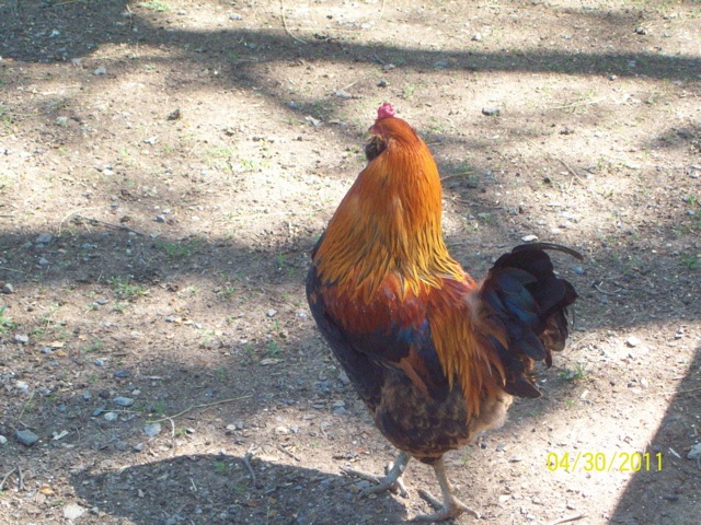 100_3430.JPG