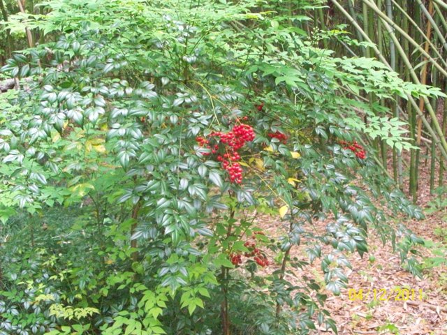100_2960.JPG