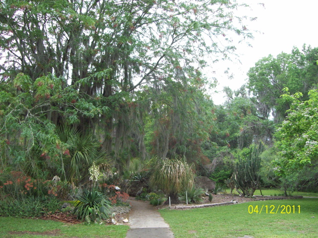 100_2962.JPG