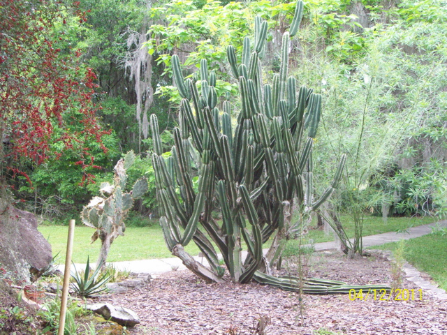 100_2963.JPG