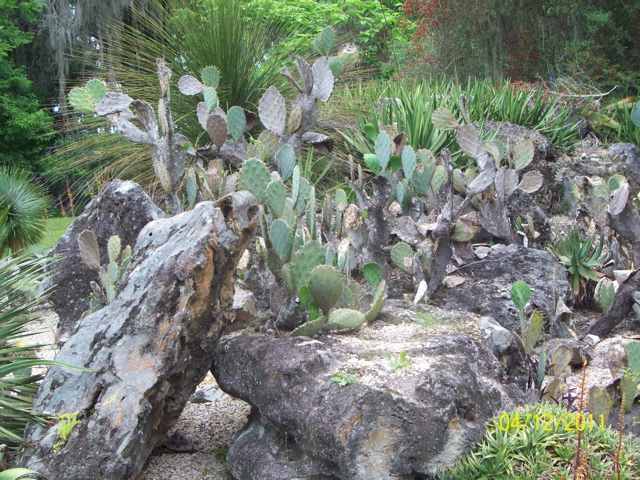 100_2964.JPG