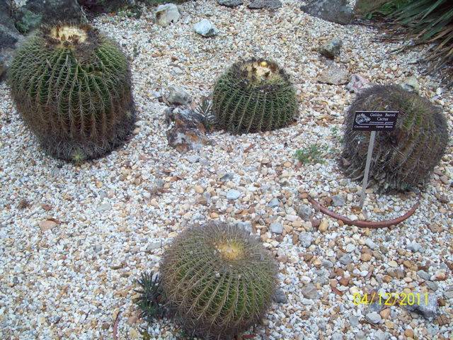100_2965.JPG