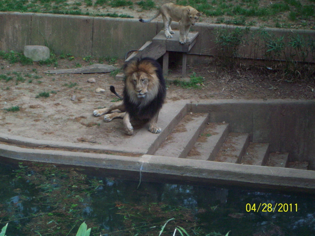 100_3295.JPG