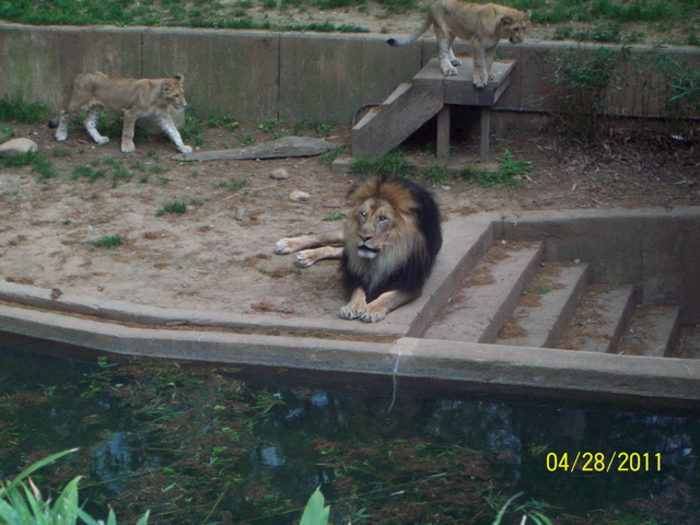 100_3296.JPG