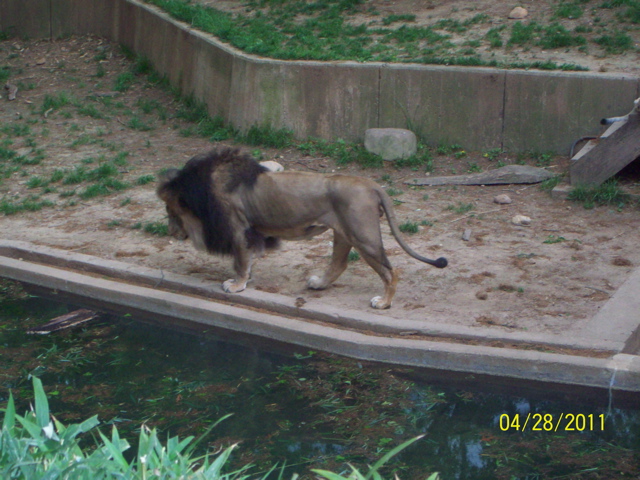 100_3297.JPG