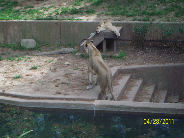 100_3298.JPG