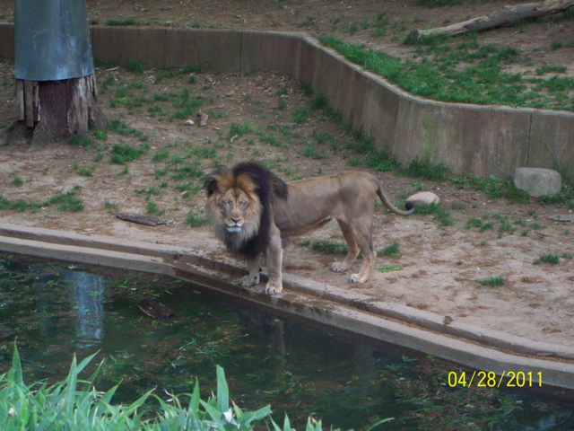 100_3299.JPG