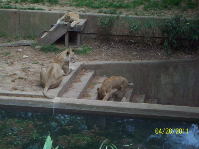 100_3300.JPG