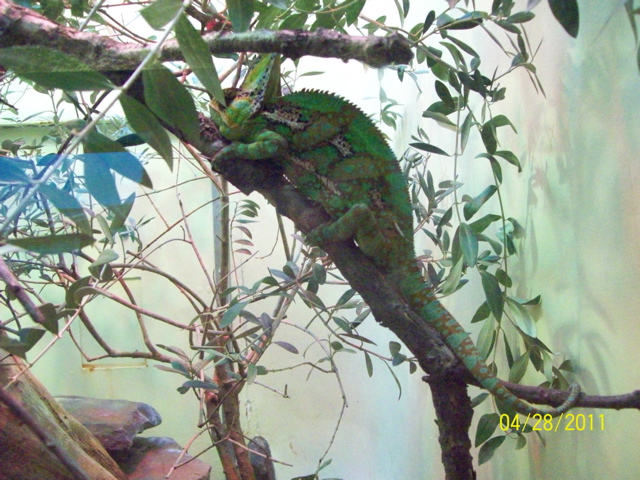 100_3309.JPG