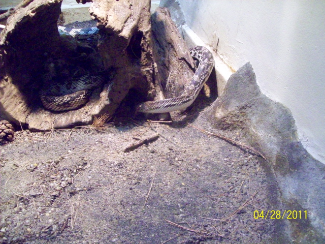 100_3311.JPG