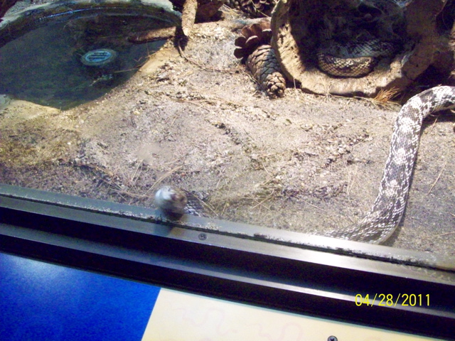 100_3314.JPG