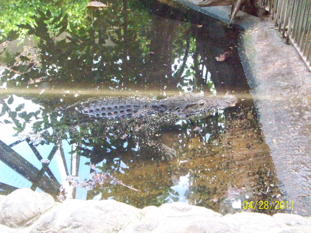 100_3317.JPG