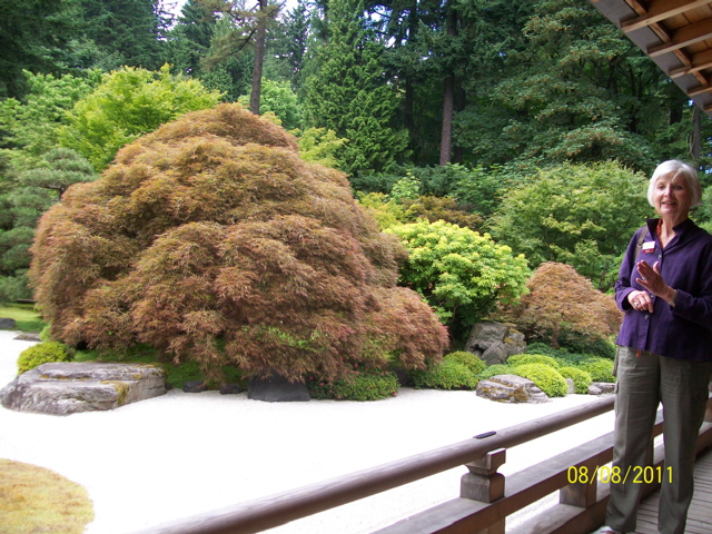 100_2634.JPG
