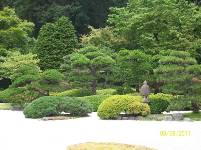 100_2636.JPG