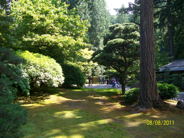 100_2645.JPG