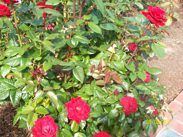 100_2658.JPG