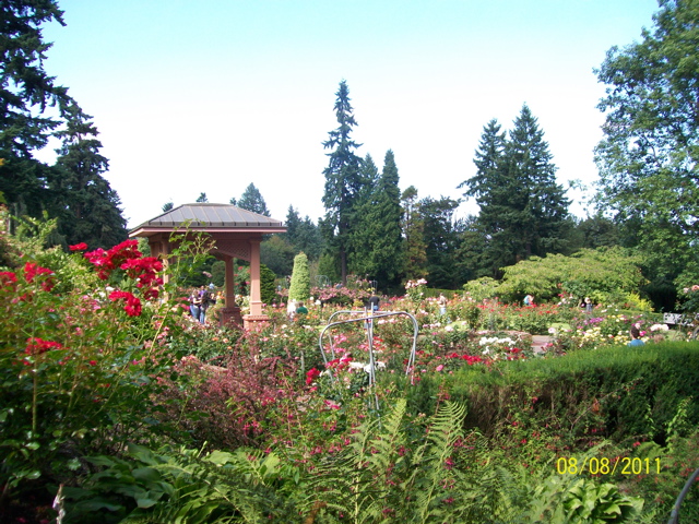 100_2665.JPG