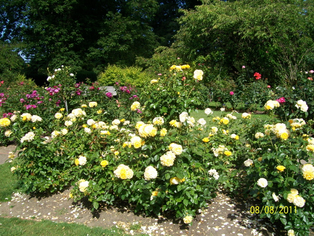100_2666.JPG