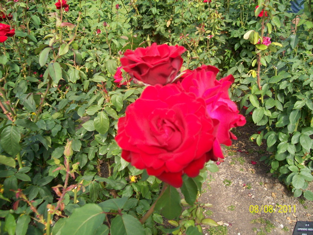 100_2669.JPG