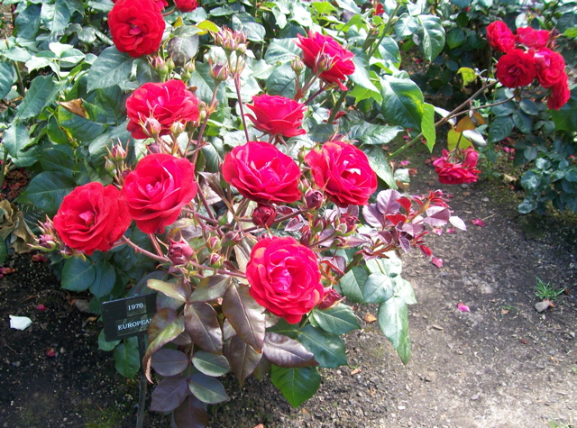 100_2671.JPG
