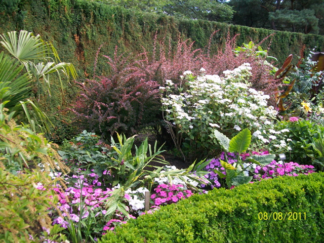 100_2676.JPG