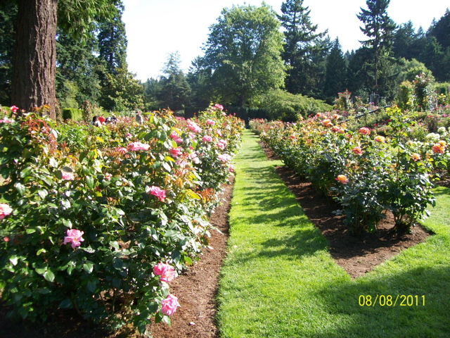 100_2685.JPG
