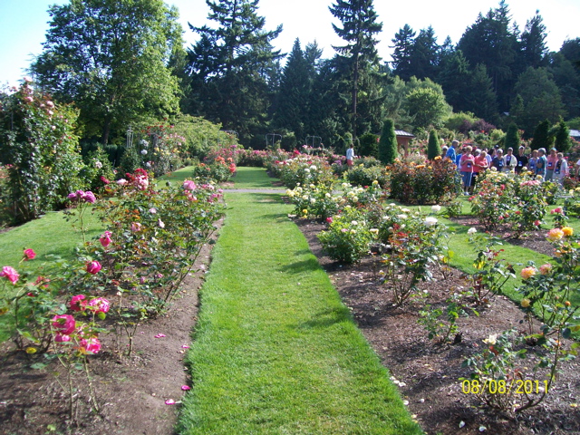 100_2689.JPG