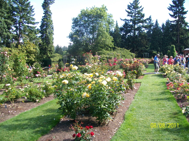 100_2690.JPG