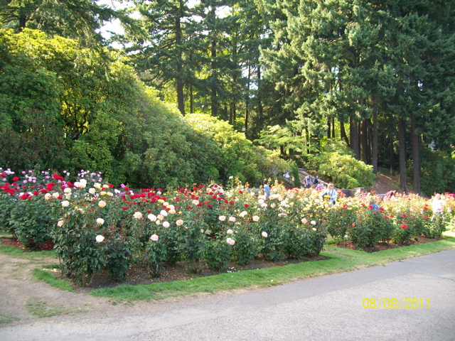 100_2693.JPG