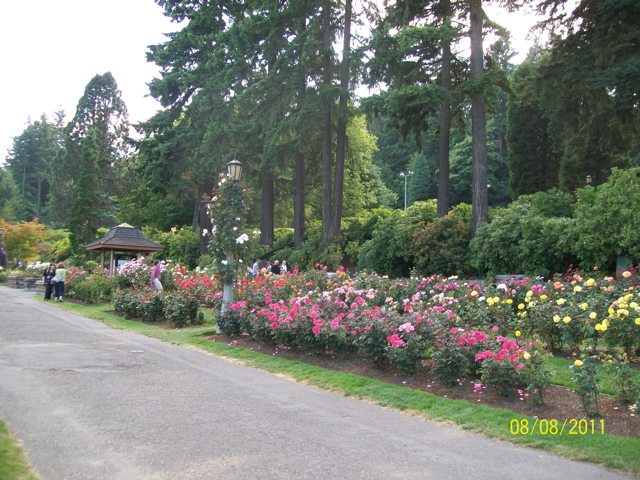 100_2694.JPG