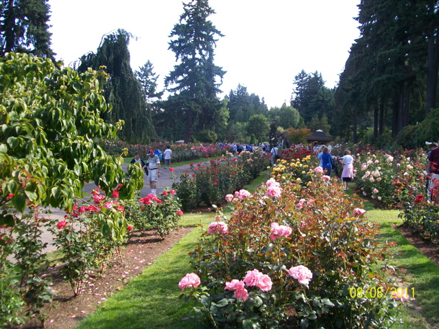 100_2695.JPG