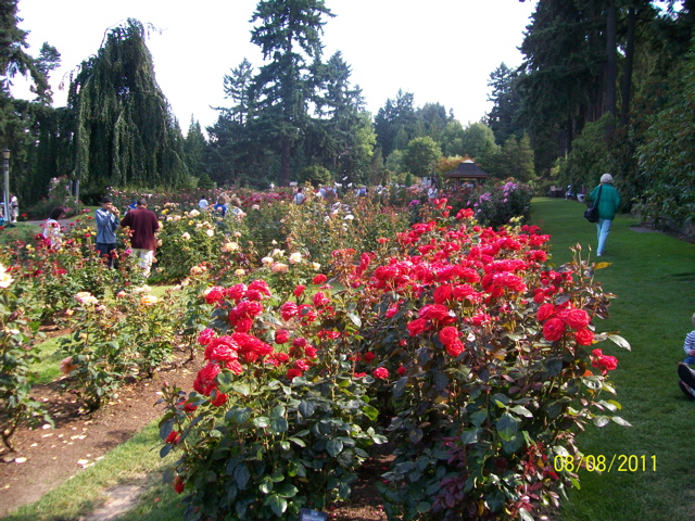 100_2696.JPG