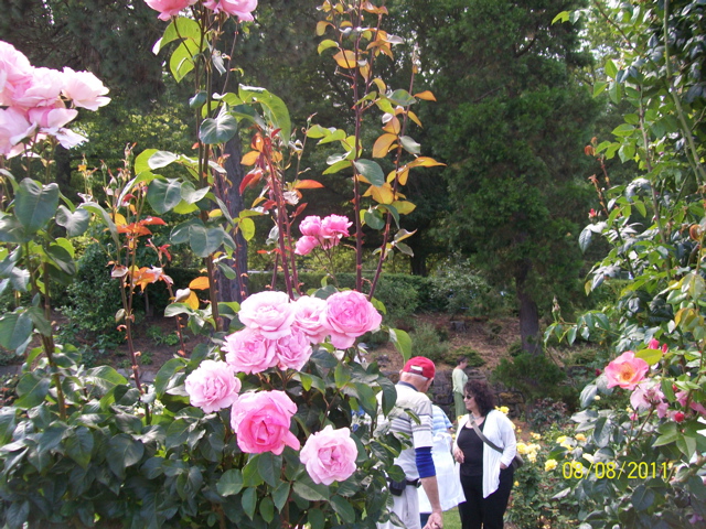 100_2656.JPG