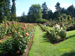 100_2686.JPG