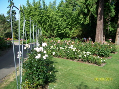 100_2687.JPG