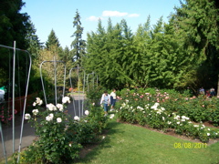 100_2688.JPG