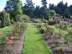 100_2689.JPG