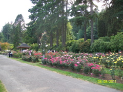 100_2694.JPG