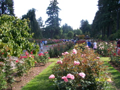 100_2695.JPG