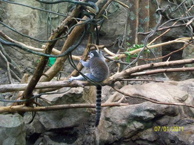100_2125.JPG