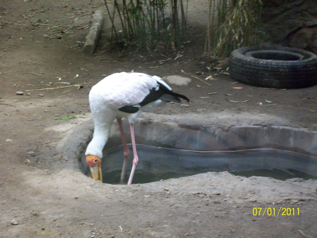 100_2134.JPG